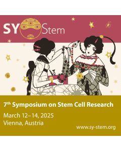 SY-Stem 2026