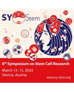 SY-Stem 2024